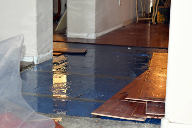 Professional Water Extraction technician working in Aurora, ME